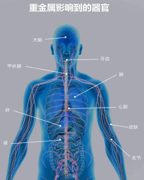 创世大发官网-钻营健全,你我一路成长